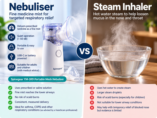 Illustrative comparison of mesh nebuliser and steam inhalation; refer to article for accurate medical safety information